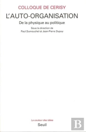 L'Auto-Organisation. De La Physique Au Politique
