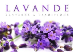 Bertrand.pt - Lavande, Senteurs & Traditions