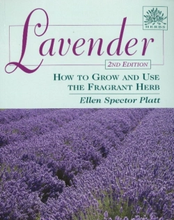 Bertrand.pt - Lavender