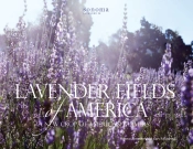 Lavender Fields Of America, A New Crop Of American Farmers