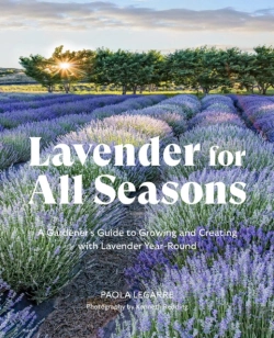 Bertrand.pt - Lavender For All Seasons