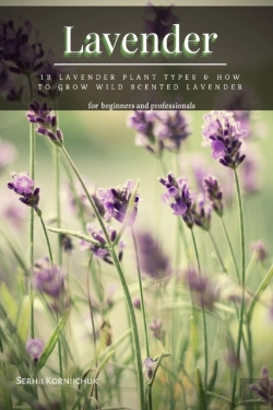 Bertrand.pt - Lavender
