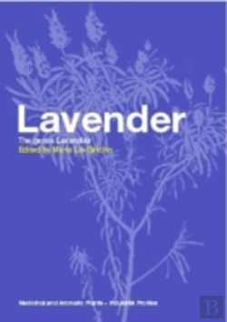 Bertrand.pt - Lavender