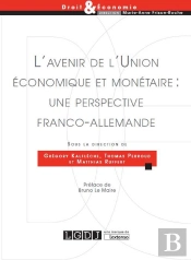 L'Avenir De L'Union Économique Et Monétaire : Une Perspective Franco-Allemande