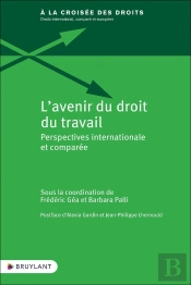 L'Avenir Du Droit Du Travail