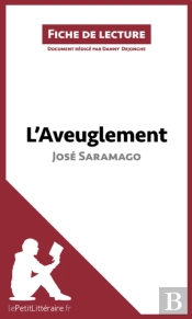 L'Aveuglement De José Saramago (Fiche De Lecture)