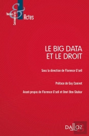 Law And Big Data