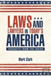 Laws And Lawyers In Today'S America