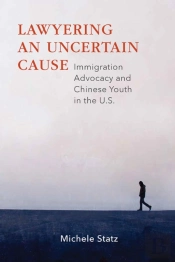 Lawyering An Uncertain Cause