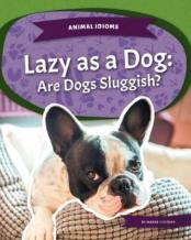 Lazy As A Dog