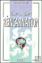 Le B A Ba De La Reincarnation