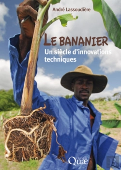 Bertrand.pt - Le Bananier