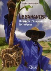 Le Bananier : Un Siecle D'Innovations Techniques