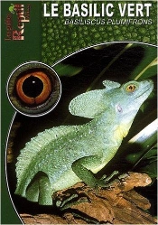 Le Basilic Vert