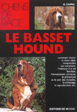 Bertrand.pt - Le Basset Hound