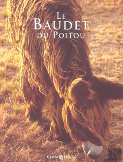 Bertrand.pt - Le Baudet Du Poitou