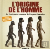 Le Big-Bang Et L Origine De L Univers