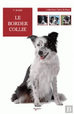 Bertrand.pt - Le Border Collie
