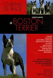 Le Boston Terrier