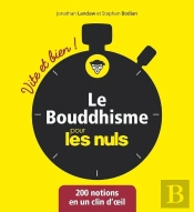 Le Bouddhisme Vite Et Bien Pour Les Nuls
