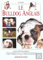 Le Bouledogue Anglais