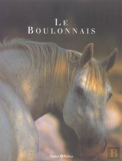 Bertrand.pt - Le Boulonnais