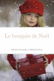 Le Bouquin De Noel