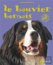 Le Bouvier Bernois