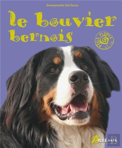 Bertrand.pt - Le Bouvier Bernois