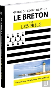 Le Breton - Guide De Conversation Pour Les Nuls, 2e