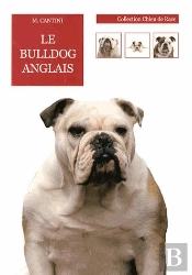 Le Bulldog Anglais