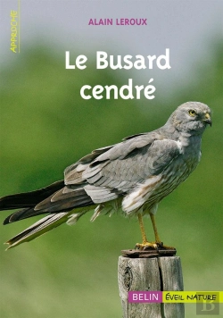 Bertrand.pt - Le Busard Cendré