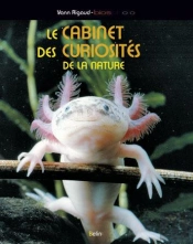 Le Cabinet De Curiosités De La Nature