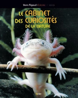 Bertrand.pt - Le Cabinet De Curiosités De La Nature