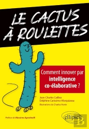 Le Cactus À Roulettes ; Comment Innover Par Intelligence Co-Élaborative ?