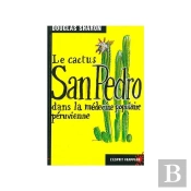 Le Cactus San Pedro Dans La Medecine Populaire Peruvienne