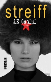 Le Cagibi