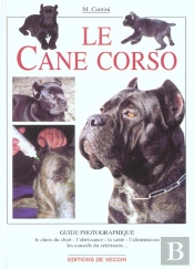 Le Cane Corso