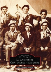 Le Canton De Châteauneuf-Sur-Loire