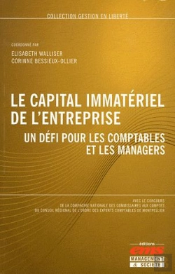 Bertrand.pt - Le Capital Immateriel De L'Entreprise - Un Defi Pour Les Comptables Et Les Managers