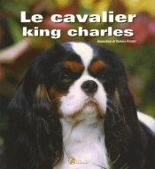 Le Cavalier King Charles