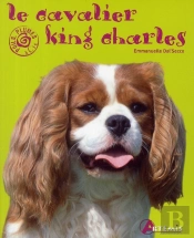Le Cavalier King Charles