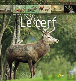 Bertrand.pt - Le Cerf