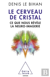 Le Cerveau De Cristal