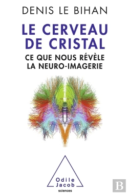 Bertrand.pt - Le Cerveau De Cristal