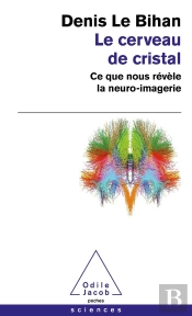 Le Cerveau De Cristal
