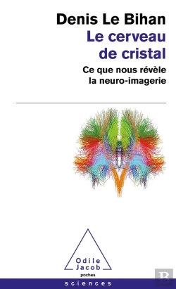 Bertrand.pt - Le Cerveau De Cristal