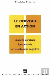 Le Cerveau En Action