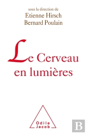 Le Cerveau En Lumières