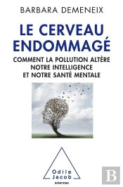 Le Cerveau Endommagé